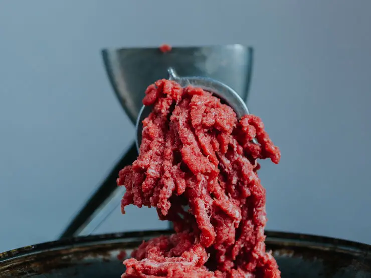 Pferdefleisch-Skandal