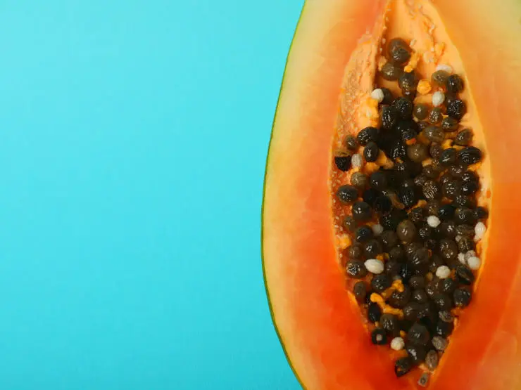 Papaya