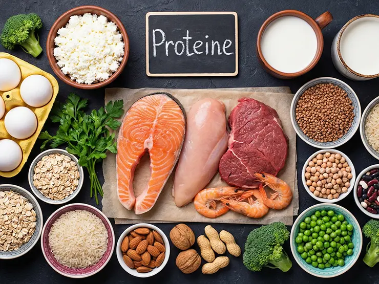 Proteinreiche Lebensmittel
