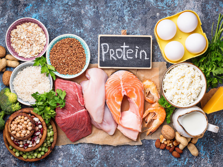 Proteinreiche Lebensmittel