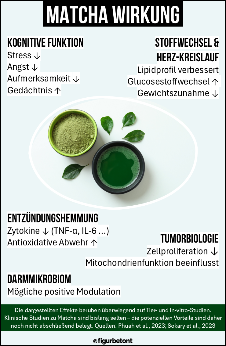 Matcha Wirkung