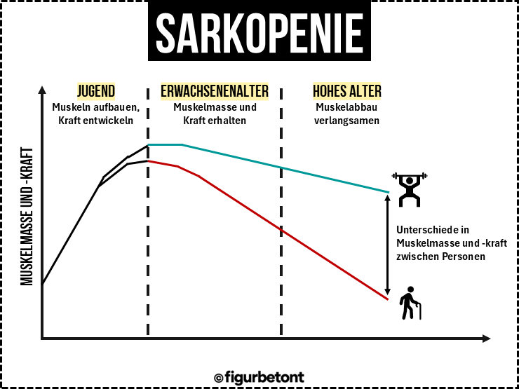 Sarkopenie