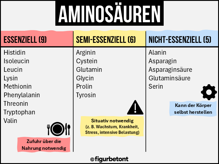 Aminosäuren